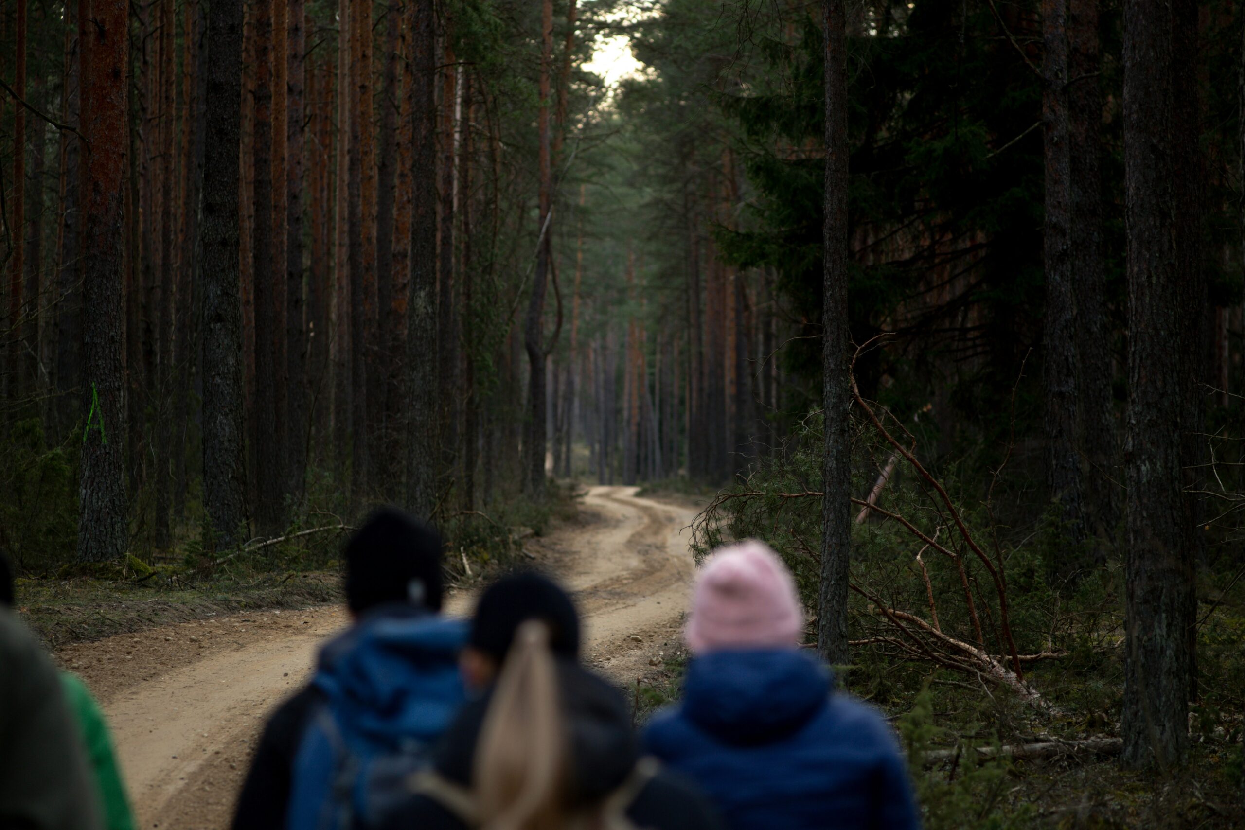 dovydas zilinskas j6o4rce91 4 unsplash